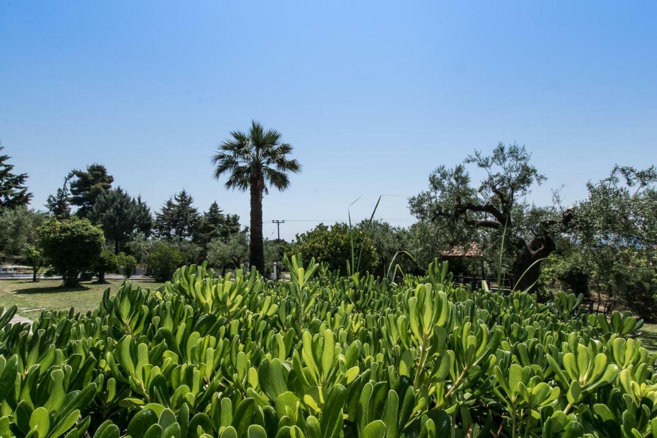 הוילה Katerina'S Garden Mola Kaliva מראה חיצוני תמונה